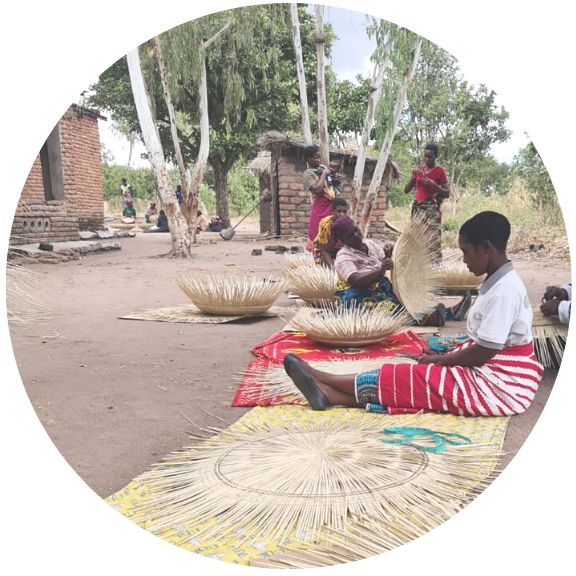 Wokongora Collection 