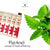 Patchouli Incense- 15 sticks