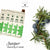 Juniper Incense- 15 sticks