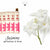Jasmine Incense- 15 sticks