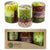 Hand-Painted Votive Candles, Boxed Set of 3 (Kileo Design)