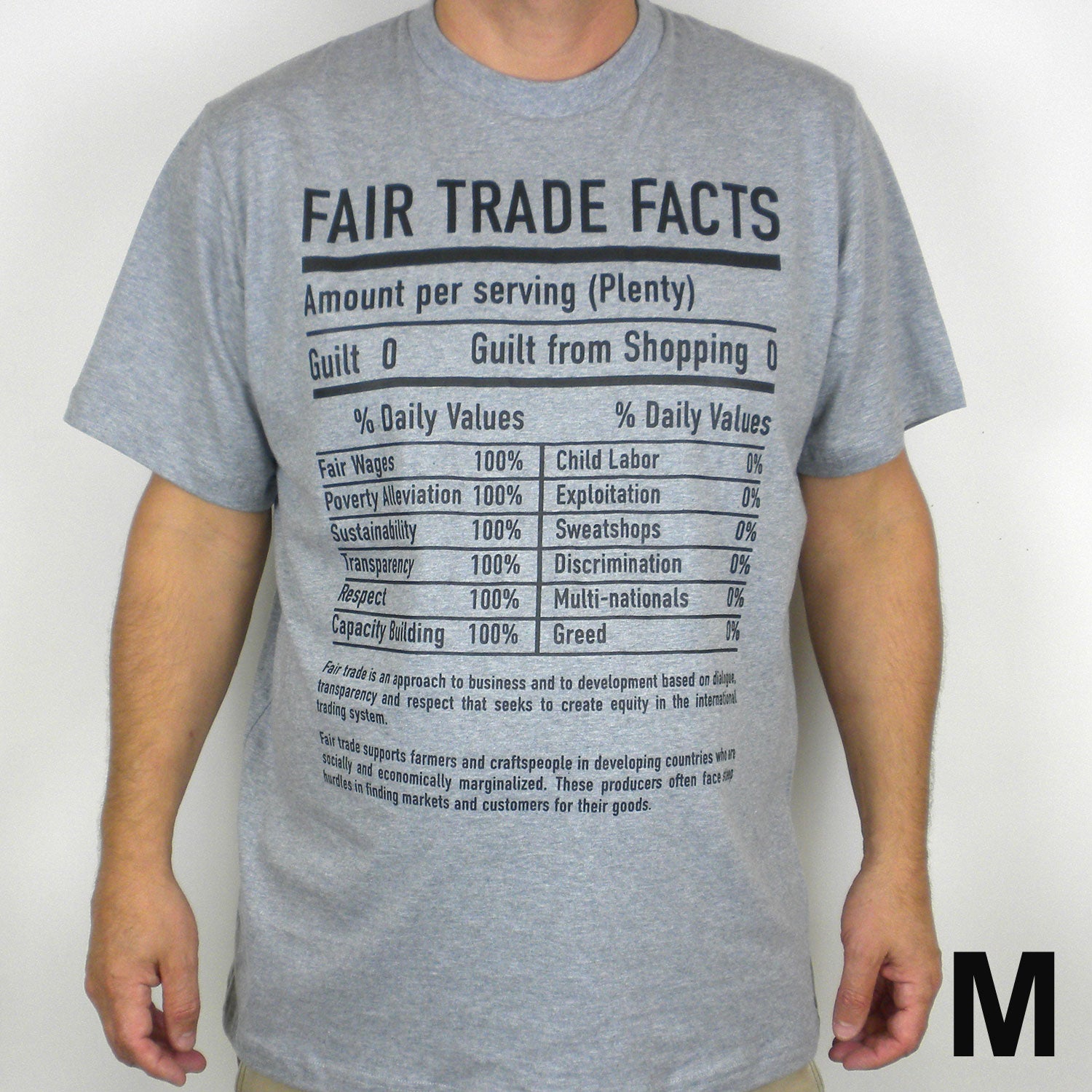 Gray Tee Shirt FT Facts on Front - Unisex Medium