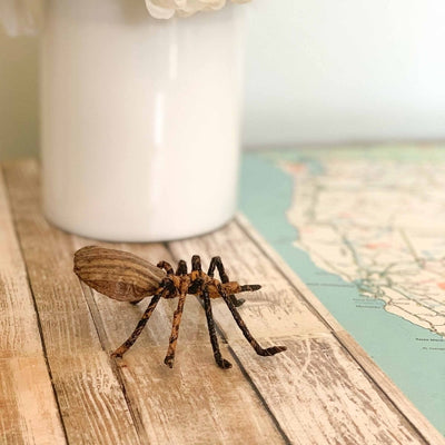 Banana Fiber Spider Sculpture