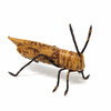 Banana Fiber Grasshopper / Cricket