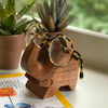 Elephant Eyeglass Acacia Wood Stand - Pack of 3