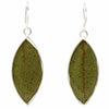 Pressed Botanical Leaves Drop Earrings