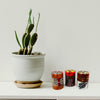 Hand-Painted Votive Candles, Boxed Set of 3 (Uzima Design)